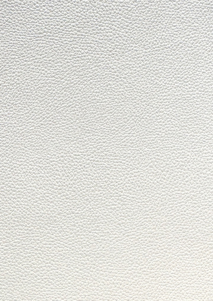 Leather white 1413 PH