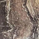 Pet Sofia Brown Striped 1056 