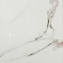 Pet Rhinestone Striped 1055-5 