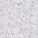 Moral terazzo FSM4601 PH