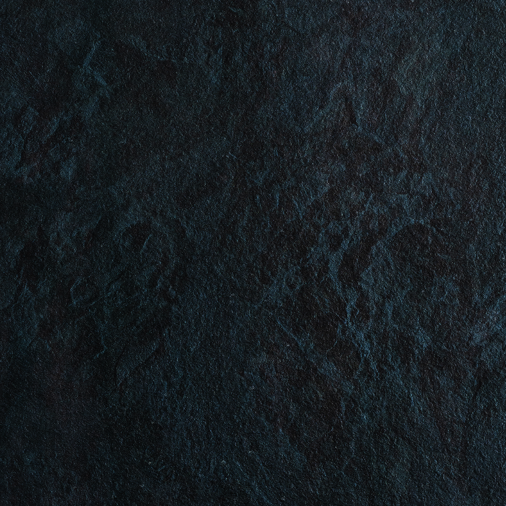 Neptune stone TB556 1F POLKO