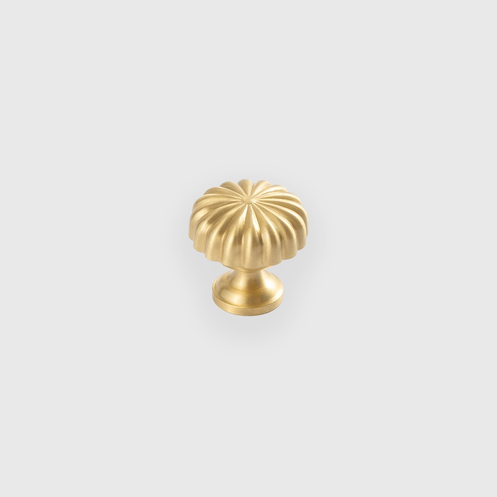 Ava Golden Knob  
