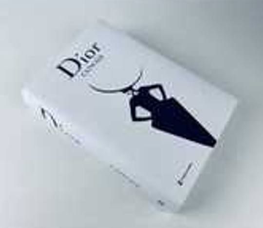 Dior catwalk STS