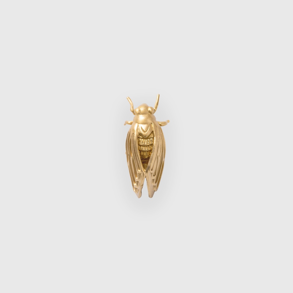 Golden cicada brass handle 55*26