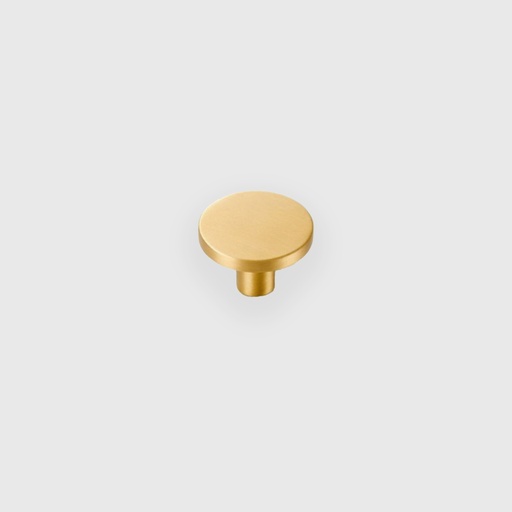 [RTR6400025] Matt Golden Round Knob 