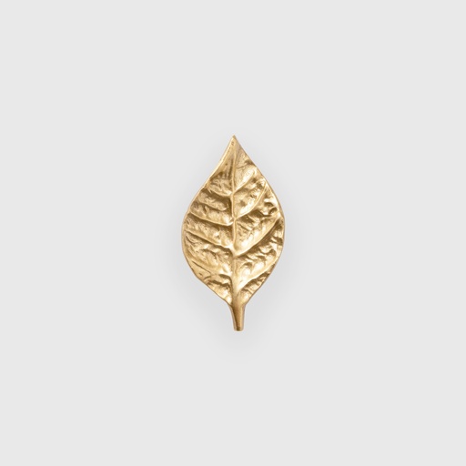 [ART6100061] Golden Small Leaf Knob 