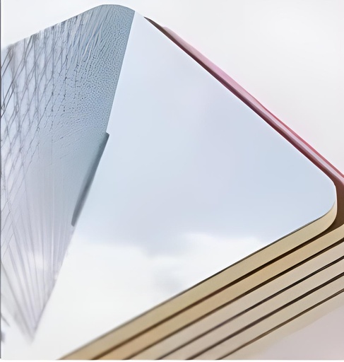 [10113] Mirror 10113 