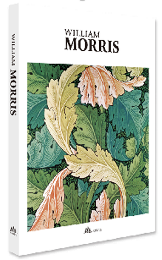 [STSMZINT0009] William morris STS